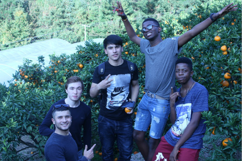 公司2018级职工赴涌泉采摘蜜桔