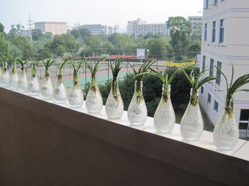 VSport体育寝室设计大赛圆满落幕