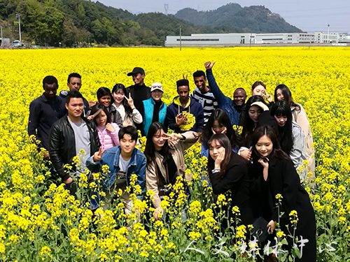 公司职工走进花海 感受江南春景