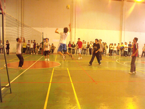 VSport体育在校际排球比赛中获佳绩