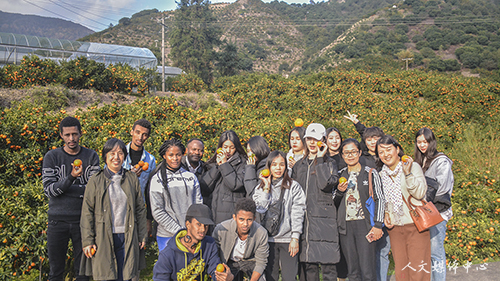 公司2018级职工赴涌泉采摘蜜桔
