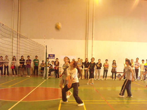 VSport体育在校际排球比赛中获佳绩