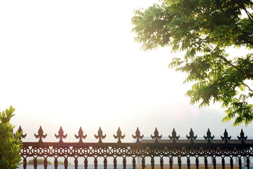 那些年,我们一起追的青春